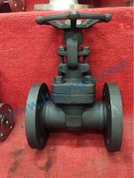 DIN A105 800L forged flange gate valve
